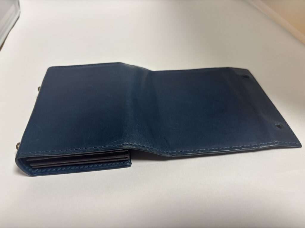 5か月目 塗布前