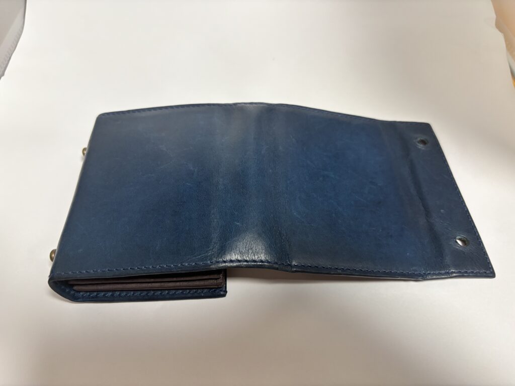 5か月目 塗布後